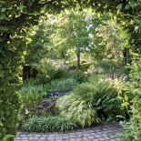 Ogród w Holandii: trochę w cieniu, trochę w słońcu