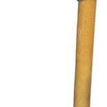 Trzcinowa laska z głową konia, XIX w., Niemcy