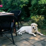 Trzy ogródki, jeden od strony wjazdu, drugi kameralny za domem, a trzeci w patio, sprawiają wrażenie, jakby zieleni było