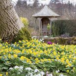 Tu rządzą przebiśniegi. Tu rządzą przebiśniegi