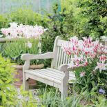 Tulipany liliowe ‘Marilyn’. Tulipany w ogrodzie – jak je uprawiać i co z nimi sadzić