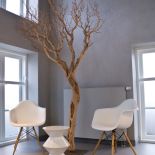 Tynk dekoracyjny z oferty Metropolis. DEKORIAN