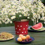 W domu znajdziemy emaliowane naczynia z Olkusza.