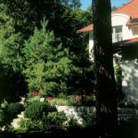 W lesie zachowało się osiem pomników przyrody. Właściciele dbają, by trzymały się jak najlepiej. Trawnik