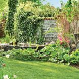 W ogrodzie jest stara wisteria, akanty, paulownia z liśćmi w kształcie serc, rozmaryny oraz rzadko spotykane w Polsce figi