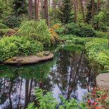 W ogrodzie-lesie rosną poziomki, mięta, kilkanaście odmian paproci, funkie, łopiany, katalpa.