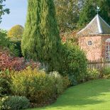 W ogrodzie rosną głównie krzewy: pięknie pachnące azalie, bujne rododendrony i ozdobne przez cały rok mahonie.