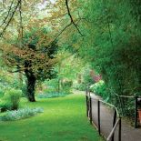 W ogrodzie w stylu romantycznym latwo zagubić się wśród zieleni i zapomnieć o Bożym świecie.