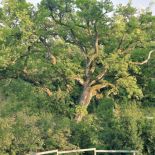 W stary siedlisku niewiele się zmieniło.