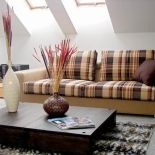 W szkocką kratę – Edimburgo. IKER. Kanapa oswojona