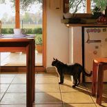 W tym domu koty nie tylko pozują do obrazów.