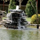 W tym królestwie ptaków wszystko zaprojektowane jest dla ich wygody - nawet fontanna.