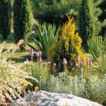 Wapienne głazy dodają malowniczości ogrodowi.