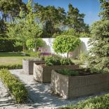 warzywnik w ogrodzie