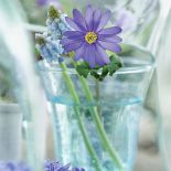 Wazony na wiosenny stole. Szklane dekoracje do domu.