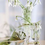 Wazony na wiosenny stole. Szklane dekoracje do domu.