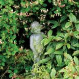 Wiciokrzew kapryfolium