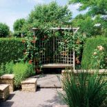 wiciokrzew rodzaje odmiany