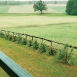 Widok na pola, łąki, drzewa i las. Urządzony z pomocą... aniołów