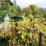 Winogrona zakradły się na taras. Zacisze wśród jabłoni