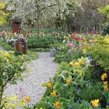 Wiosenne kwiaty w ogrodzie – kiedy je sadzić i jak je uprawiać? Zdecydować się na cebulki czy nasiona?