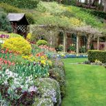 Wiosenne kwiaty w ogrodzie