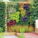 Wiosenne kwiaty w ogrodzie