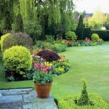 Wiosenne kwiaty w ogrodzie