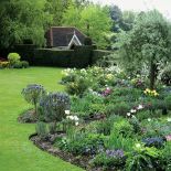 Wiosenne kwiaty w ogrodzie