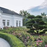 Wiosenne kwiaty w ogrodzie