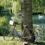 Wiosna to doskonały moment, aby wsiąść na rower. Fot. Stockfood/Free