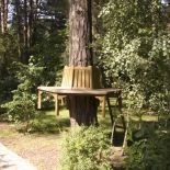 Wisząca ławka oplatająca starą sosnę – trzeba się na nią wspiąć po niewielkiej drabince.