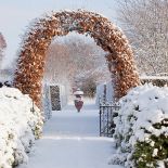 Właściciele mają słabość do pnączy. Z myślą o nich postawili tyle altan i pergoli.