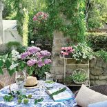 Właściciele siedzą na tarasie i podglądają, jak po gałęziach ganiają się wiewiórki.