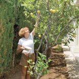 Właścicielka z miłością dogląda egzotycznych roślin.