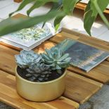 styl modern classic oranżeria