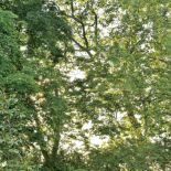 Wokół domu pełno jest urokliwych zakątków.