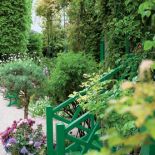 Wokól domu znajdziemy kwiaty we wszystkich odcieniach różu i fioletu.