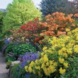 Wszystkie te kwiaty od siedemdziesięciu lat co roku tak pięknie zakwitają dla Dorothy Clive.