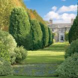 Wymarzona aleja z tujami. Ogród z tujami