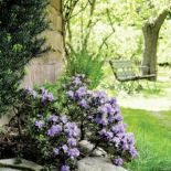 Wymarzone miejsce do wypoczynku. Ogród pod sosnami