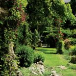 Z bujną zielenią kontrastują purpurowe kwiaty klematisu i pnącej róży.