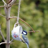 Z filiżanki zrobisz karmnik w sam raz dla sikorki.