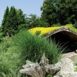 Z Norwegii przywieźli modę na zielone dachy. Te na ziemiankach obsadzili żółtym rozchodnikiem ? potrzebuje