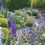 Z prowadzonego pod linijkę ogród staje się dziki, nieokiełznany.