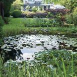 Z prowadzonego pod linijkę ogród staje się dziki, nieokiełznany.