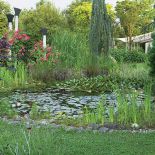 Z prowadzonego pod linijkę ogród staje się dziki, nieokiełznany.