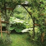 Za otwartą bramką obrośniętą biało-zieloną trzmieliną, widać dorodne liście lepiężników.