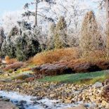 Zadziwiająca kolorystyka ogrodu japońskiego.