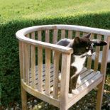 Zapraszamy kwiaty do ogrodu